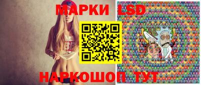 спиды Обь