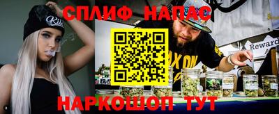 индика Новокубанск