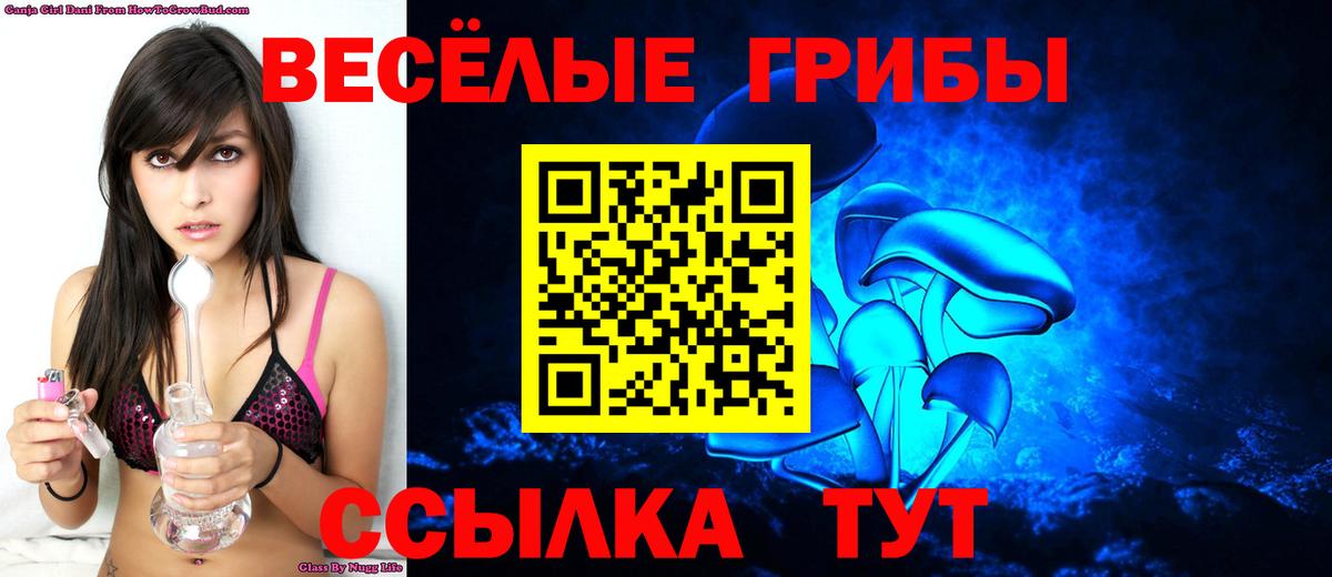 Самара  Псилоцибиновые грибы Psilocybine cubensis  Галлюциногенные грибы MAGIC MUSHROOMS  Вход с VPN 